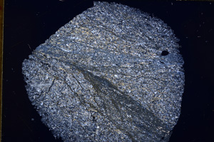 Cross Polarized, E16687
