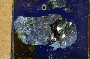 Cross Polarized, E16747