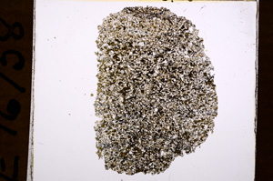 Plane Polarized, E16758