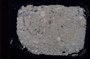 Cross Polarized, E16784