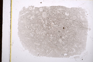 Plane Polarized, E16784