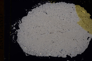 Cross Polarized, E16785