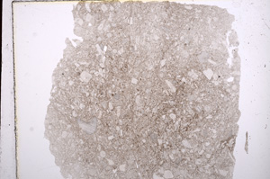 Plane Polarized, E16786