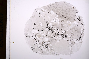 Plane Polarized, E16795