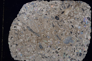 Cross Polarized, E16799