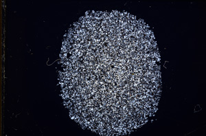 Cross Polarized, E16814