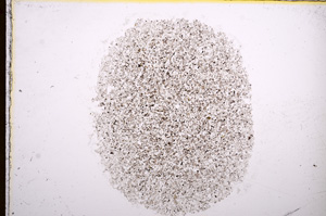 Plane Polarized, E16814