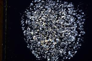 Cross Polarized, E16815