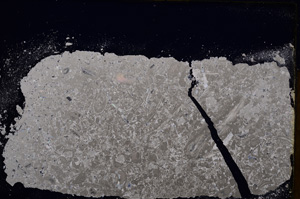 Cross Polarized, E16825