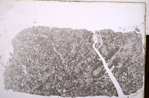 Plane Polarized, E16825