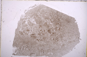 Plane Polarized, E16828