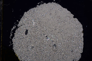 Cross Polarized, E16829