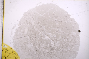 Plane Polarized, E16829