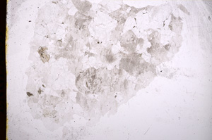 Plane Polarized, E16854