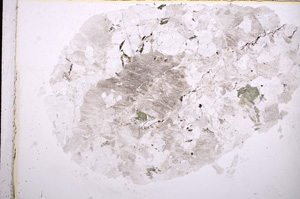 Plane Polarized, E16857