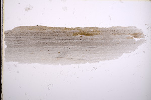 Plane Polarized, E16862