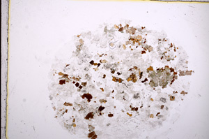 Plane Polarized, E16864