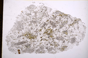 Plane Polarized, E16869