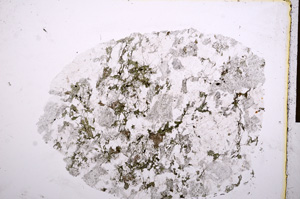 Plane Polarized, E16871