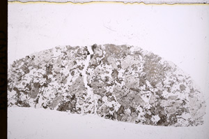 Plane Polarized, E16885