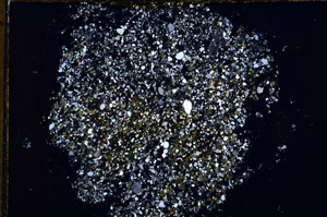 Cross Polarized, E16903