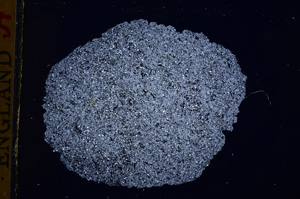 Cross Polarized, E16904