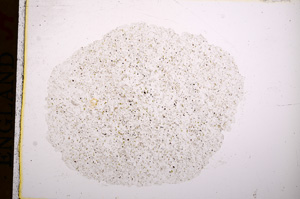 Plane Polarized, E16904