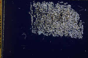 Cross Polarized, E16905