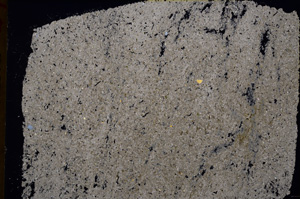 Cross Polarized, E16909