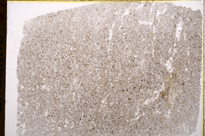 Plane Polarized, E16909