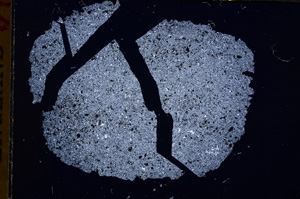 Cross Polarized, E16911