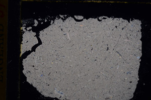 Cross Polarized, E16930