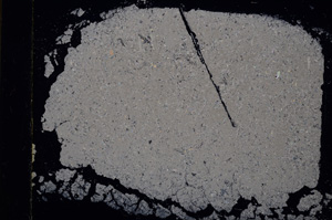 Cross Polarized, E16931