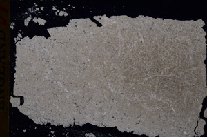 Cross Polarized, E16932