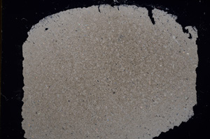 Cross Polarized, E16934