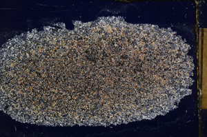 Cross Polarized, E16941