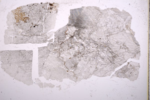 Plane Polarized, E16942