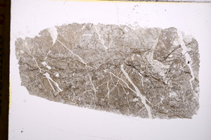 Plane Polarized, E16943