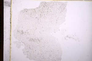 Plane Polarized, E16967