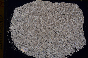 Cross Polarized, E16972