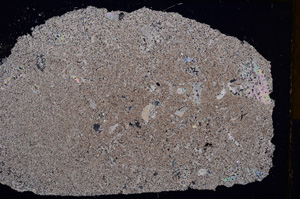 Cross Polarized, E16974