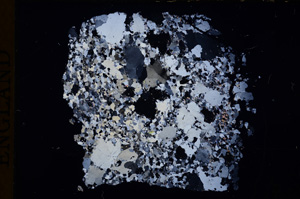 Cross Polarized, E16977