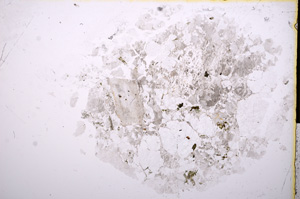 Plane Polarized, E16986