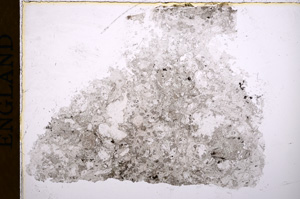 Plane Polarized, E16992
