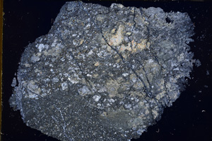 Cross Polarized, E16994