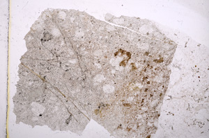 Plane Polarized, E16998