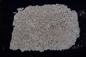 Cross Polarized, E17005