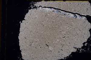 Cross Polarized, E17056