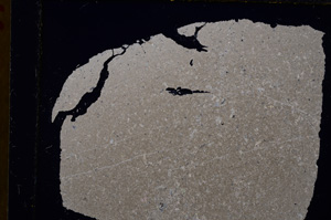 Cross Polarized, E17057