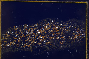 Cross Polarized, E17059